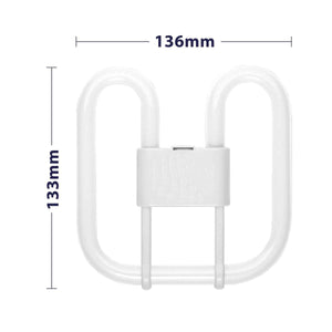 Lampade Fluorescenti GR10q 16W 4 Pin 4000K Bytterfly