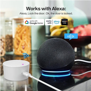 Serratura Smart Porta Blindata Intelligente Smart Door Lock G30 Compatiile Google Alexa