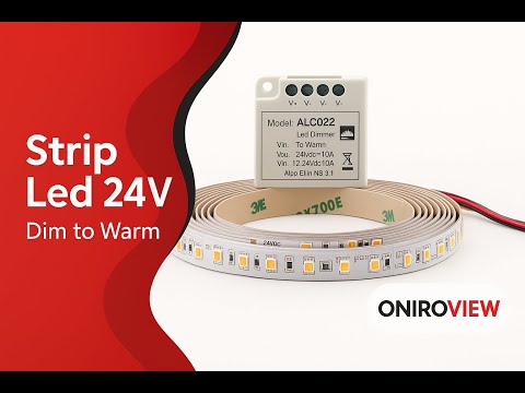 Strisce Led 24V Dim to Warm 2300K-3000K Dimmerabile 14.4W Calda