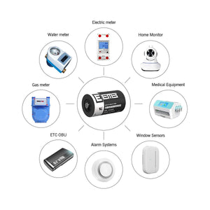 Batteria 14335 Litio Cloruro di Tionile Li-SOCl2 - ER14335 - 2/3AA - 3,6V 1650mA