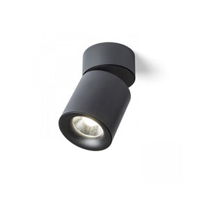Faretto a Soffitto Led Cilindrico Inclinabile 20W 24° 3000K