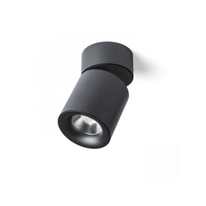 Faretto a Soffitto Led Cilindrico Inclinabile 20W 24° 3000K