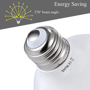 Lampadina Globo Grande E27 24W 2500 Lumen Luce Calda 3000K