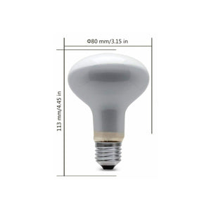 Lampadina a Incandescenza 40W Smerigliata E27 R80 Faretto Reflector
