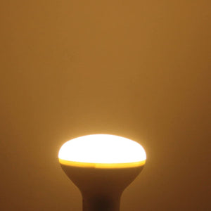 Lampadina a Incandescenza 40W Smerigliata E27 R80 Faretto Reflector