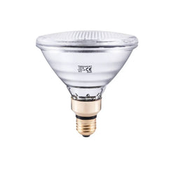 Lampada PAR38 100W Alogena 30° 230V